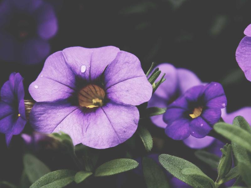 sudoku ad free version screenshot 3